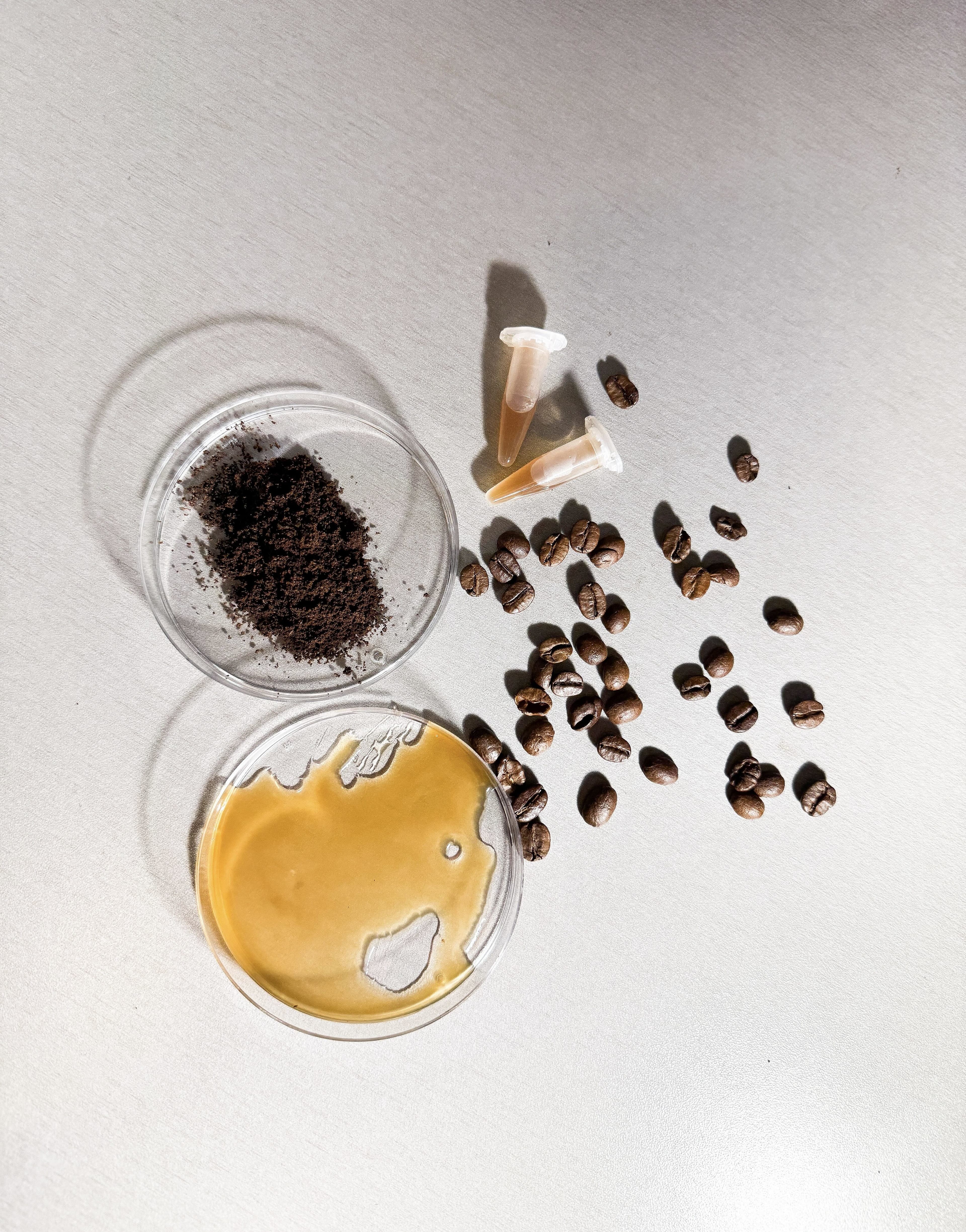 CaffiCell